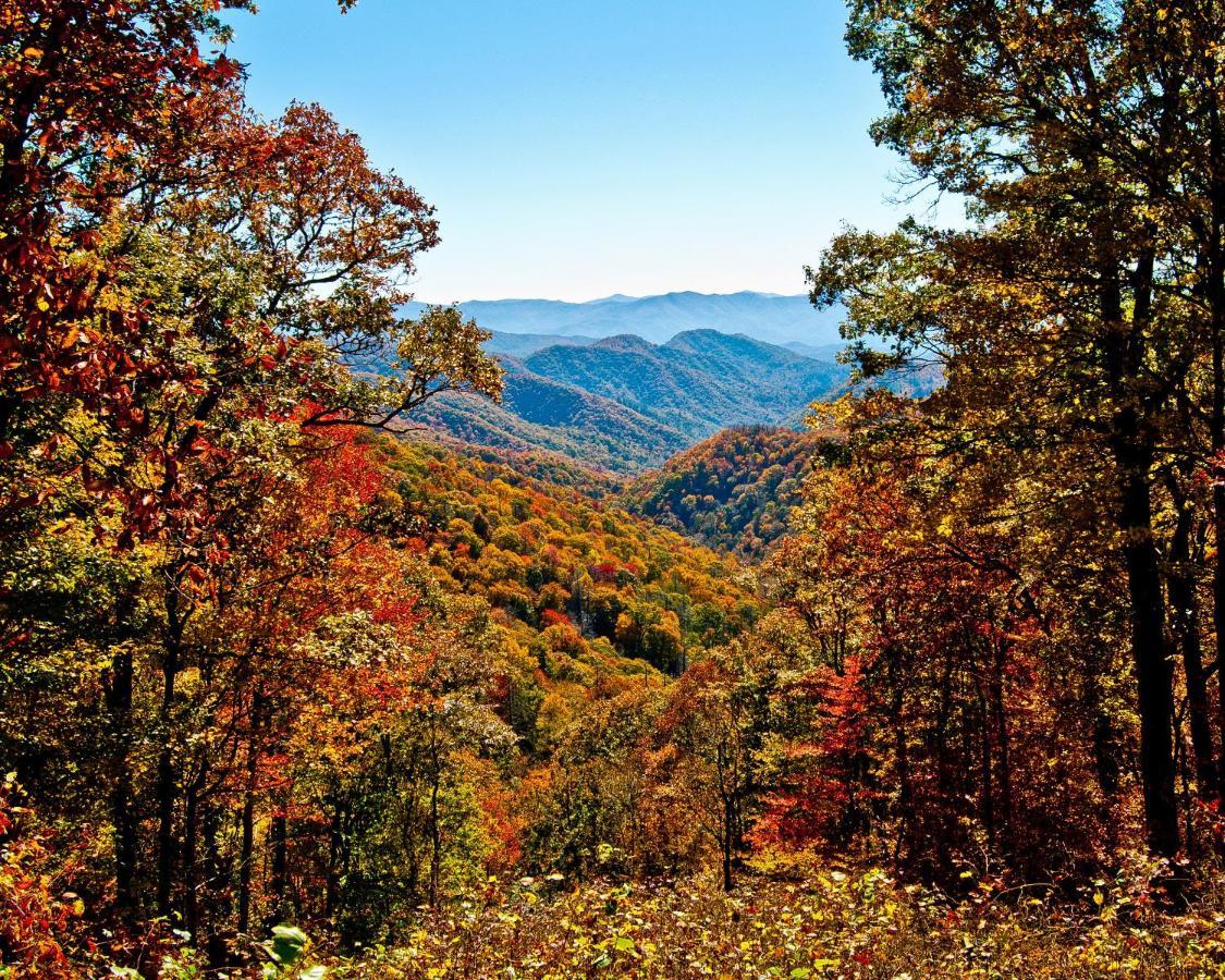 Great Expectations, 3 Bedrooms, Fireplace, Pool Table, Hot Tub, Sleeps 10 Gatlinburg Exteriör bild